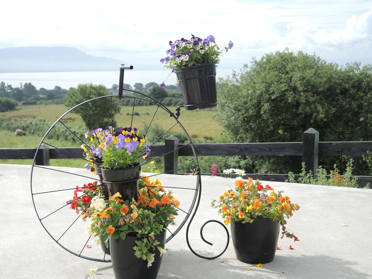 On The Rocks B&B Greencastle (Donegal) Exterior foto